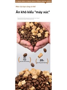 MYFOODIE | Thức Ăn Mèo Tươi Đông Lạnh Từ Gà & Cá Hồi Cao Protein Thiên Nhiên 1.7kg