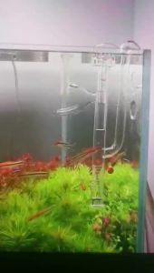 ZRDR skimmer Glass lily  spin surface inflow outflow 13/17mm aquarium water plant tank filter ADA quality Fish Tank Filter