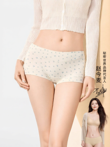 Secret World | Cute Full-Coverage Womens Panties Cotton Crotch Anti-Bacterial Seamless