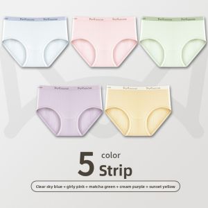 MiiOW | Pure Cotton Antibacterial Triangle Womens Underwear Breathable Mid-Waist Seamless Comfortable Shorts By MiiOW Cat Person