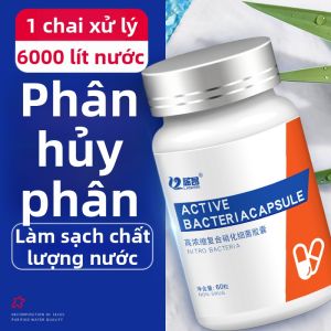 Aquarium Nitration Bacteria Water Purifier