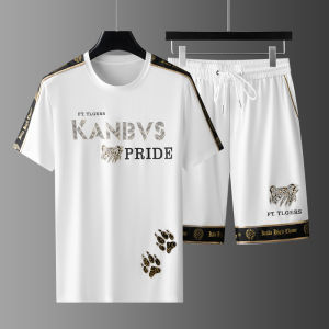 High-End Ice Silk Short Sleeve T-Shirt Set Mens 2024 New Summer Running Sportswear Two-Piece Set Polyester Fiber Youth Fit