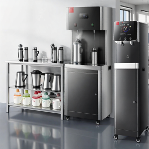 DEMASHI | Commercial Hot and Cold Water Dispenser With Purifier