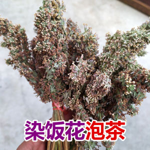Wild Buddleja Officinalis 250G Dyed Rice Flower Pure Plant Yellow Rice Flower Dye Yunnan Specialty Mingmu Eye Protection Tea Honey Menghua