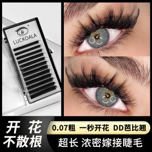 ขนตาปลอมที่ง่ายต่อการใช้งานและธรรมชาติสำหรับผู้หญิงจากจีนแผ่นดินใหญ่ขนตาปลอมแบบหนาและหนาสำหรับลูกค้าทุกสภาพผิว