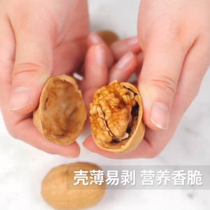 核桃 新疆纸皮核桃 500g raw walnut with shell 补脑键脑,无硫,不漂白,可手剥 Thin-skinned walnuts Original Raw Ready to Eat Walnut Mentah Asli