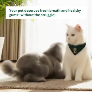 Petcher Daily Fresh Pack – Pet Powder Cologne & Oral Spray Pet Grooming Bundle for Dogs and Cats