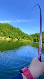 Shimano Syoufu Pelangi – Joran Tegek Full Carbon Asli Ringan dan Kuat Panjang 360-720 cm