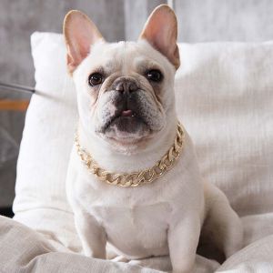 Gold Plastic Plated Collars for Dogs Electroplated Dog Chain for Pitbull Fashion Jewelry Dog Accessories for Bulldog