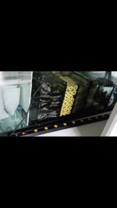 Media Filter Air Aquarium Kolam Ikan Internal External Momogi Rumah Bakteri Biologi Aquascape Terbaik Untuk Air Jernih Bacteria House Bio Block Besar Akuarium Biologis Biologi