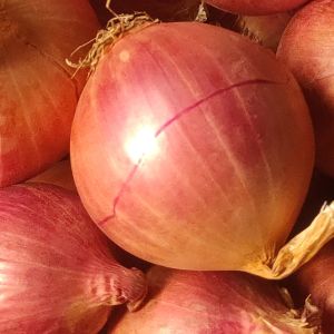 หอมแขก หอมแดง (ส่งฟรีกดรับโค้ดด้านล่าง) สด ใหม่ 500 1000 กรัม ลูกค้าสามารถเก็บคูปองส่งฟรี คูปองส่วนลดสินค้า ตรงใต้ภาพสินค้า แจกคูปองตรงที่ไปกดติดตาม