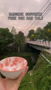 Mangkok Aesthetic Korean Sakura: Souvenir Pernikahan Murah & Hampers Mangkuk