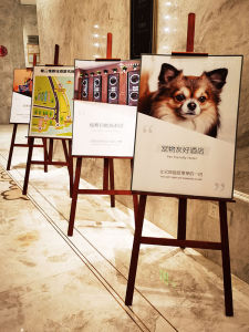 Colorful Wooden KT Board Display Stand Art Exhibition Poster Stand Advertising Stand Exhibition Stand Modern Simple Style Mobile