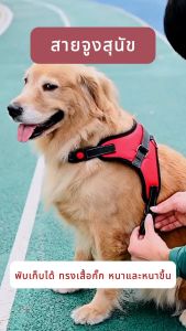 สายจูงสุนัข พันธุ์กลาง-ใหญ่ หลายสี สายจูงหมา มีแถบสะท้อนแสง สูงสำหรับเสื้อรัดอกสูง สูงสำหรับเสื้อรัดอกสูง