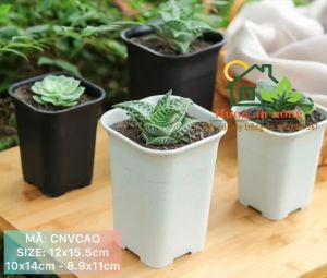 CVCAO - chậu vuông cao dầy chất liệu nhựa PP xịn - trồng sen đá bonsai xương rồng có 2 màu chọn ( không kèm dĩa lót )