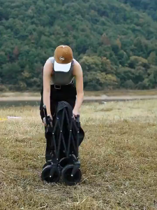 SOFTHOME Multifunctional Foldable Trolley Wagon Family Picnic Beach Shopping Tool Trolley Carts