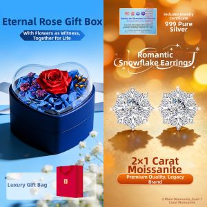 East Beauty | 999 Pure Silver 1 Carat Moissanite Stud Earrings