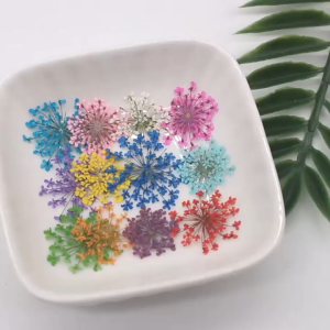 8Colors 12Pcs Natural Dried Snow Bead Flower Phone Case Nail Art Photo Props DIY Decoration
