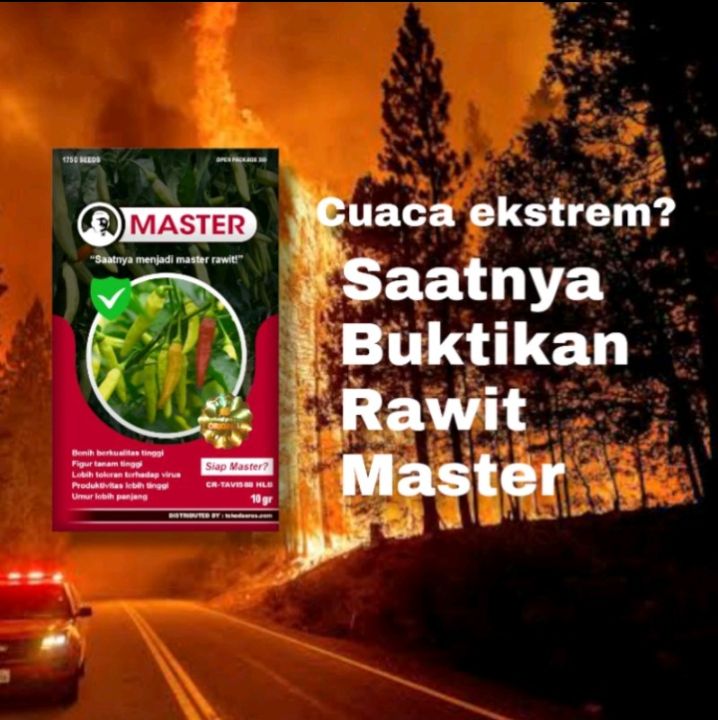 Benih%20Cabe%20Rawit%20MASTER%20isi%2010%20Gram/%20Bibit%20Cabe%20Rawit%20Master/%20Benih%20Cabai%20Master%20-%20Image%202