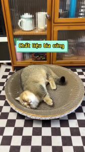 Bàn cào móng cho mèo hình tròn  Bàn cào móng kiêm ổ đệm nằm đường kính 30-40cm Cattree mèo