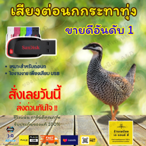 Flash Drive เสียงต่อ นกกระทาทุ่ง – คมชัด 6 ชั่วโมง ไม่มีโฆษณา | ส่งด่วน Flash Express | เก็บเงินปลายทาง