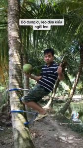 DỤNG CỤ LEO CÂY DỪA KIỂU NGỒI LEO