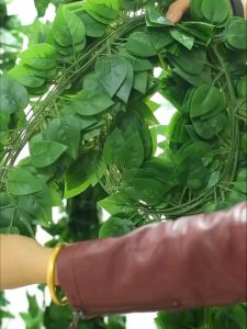 LDGไม้เลื้อยเทียมยาว1เส้น2.3เมตรต้นไม้พวงมาลัยใบไม้สีเขียวเถาปลอมอุปกรณ์ตกแต่งผนังสายหวายพลาสติก