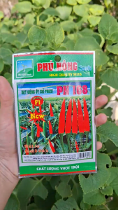 [THIEN THINH SHOP] HẠT GIỐNG ỚT CHỈ THIÊN PN 168 F1 PHÚ NÔNG – CÂY KHỎE TRÁI ĐẸP NĂNG SUẤT CAO