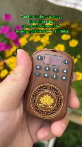HÀNG LOẠI A - Máy Niệm Phật Nhỏ Gọn Âm Thanh Sống Động Có Khe Thẻ - Mini Nâu