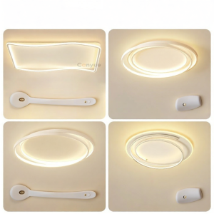 Geometric Creative High-End LED Ceiling Light