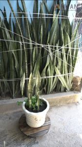 Đế Lót Chậu Cây Đen Có Bánh Xe 360° Chịu Tải 150kg ANKAN - Phụ Kiện Trang Trí Nội Ngoại Thất Tiện Lợi