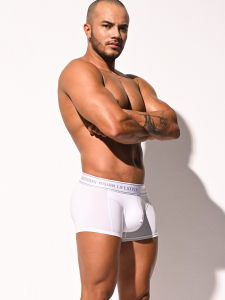 Lightweight Breathable Modal Mens Boxer Shorts U-Shaped Pouch Low Waist Briefs Comfortable Soft Fabric Flat Angle Underwear