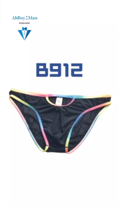 Mens Brief: Polyester Mesh with Rainbow Band and Pouch Opening (B912)