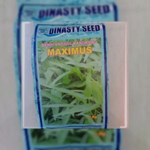 Benih Kangkung MAXIMUS 1 Kg Dinasty Seed