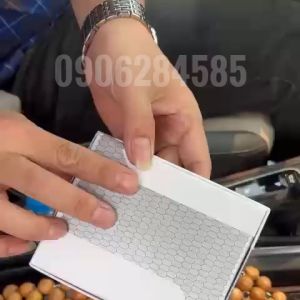 Bộ 2 Chốt Cài Dây An Toàn Oto Các Hãng Xe Cao Cấp