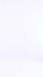 Áo Thun DirtyCoins Gradient Regular T-shirt - White