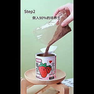 [LOCAL STOCK] DIY Planting Kit Desktop Indoor Mini Pot Can Plant Kids Childrens Event Gifts (MOQ 6)