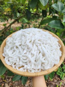 Giá Sỉ 5kg Bánh Canh Bột Xắt Sa Đec Màu Trắng Truyền Thống - Mai Ngọc Food Đặc Sản Vùng Miền