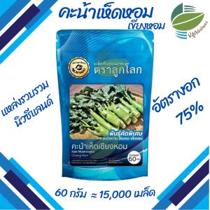 คะน้าหวาน คะน้าเห็ดหอม คะน้าฮ่องกง เชียงหอม ตราลูกโลก