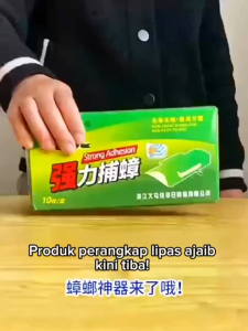 10PC Cockroach Trap Glue Cockroach Bait Cockroach House Stick Trap Lizard Stick Trap Gecko House Trap