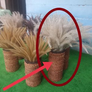 Murah Nampol Paket Bunga Kering + Pot