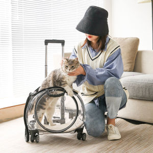 Pet Cat Bag Outdoor Portable Backpack Summer Backpack Cat Large Capacity Trolley Case Dog Transparent Space Capsule