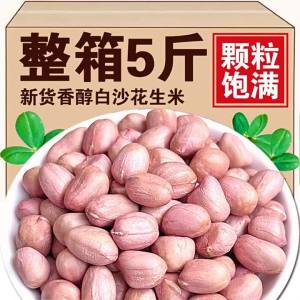 Fresh Selected Large Peanuts 5 JIN