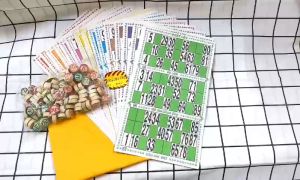 Bộ Đồ Chơi Lô Tô Bằng Giấy 16 Tờ Kèm 90 Số Bingo Bằng Gỗ Và Túi Vải Cờ Lô Tô Giải Trí Giá Rẻ