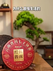 LANCANGGUCHA | Yunnan Classic Puerh Tea 350g