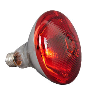 250w Infrared Heat Lamp Waterproof Anti-Explosion Thickened Light Bulbs For Piglet Chicken Birds E27 Small Heat Lamp