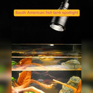 Fish Tank Spotlight: South American Lamp & LED Splash-Proof Lighting