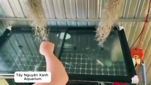 Nắp Đậy Bể Cá Thuỷ Sinh Loại Viền Trượt Cao Cấp