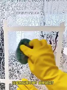 Anti-Bacterial Stain Remover Brush