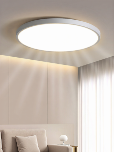 DGY | Ultra-Thin Ceiling Light